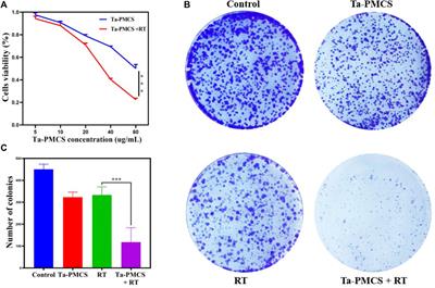 Tantalum-carbon-integrated nanozymes as a nano-radiosensitizer for radiotherapy enhancement